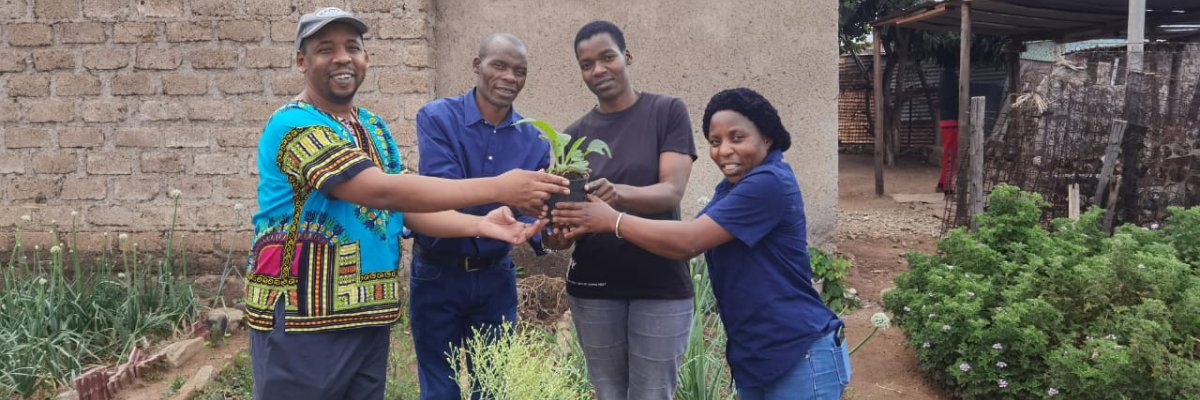 Permaculture Gardening (Südafrika)